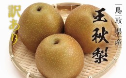 【ふるさと納税】【訳あり】王秋梨 4kg