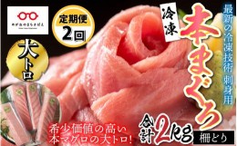 【ふるさと納税】【定期便】【2ヶ月連続お届け】  刺身用！本マグロ大トロ（柵どり） 1kg × 2回 【最新の冷凍技術】[I-11004]