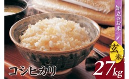 【ふるさと納税】【令和6年産 先行予約】 【新米】知立のお米（玄米）　コシヒカリ27kg（0166）