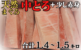 【ふるさと納税】B30-009 【中トロ主体で１キロ以上】三崎の天然目鉢まぐろ（1.4〜1.5ｋｇ）