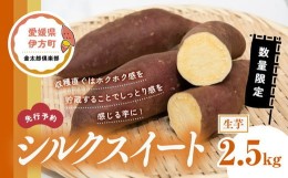 【ふるさと納税】【先行予約】【数量限定】シルクスイート 生芋（2.5kg）| さつまいも サツマイモ 産地直送　※2024年12月上旬〜2025年4