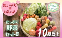 【ふるさと納税】たっぷり 野菜セットB 10品 以上 季節 旬 春野菜 夏野菜 秋野菜 きのこ 葉物 果物 果菜 根菜 冷蔵 野菜室 ダイエット 食