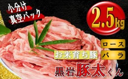 【ふるさと納税】★黒岩豚太くん★ 豚肉 ロース・バラ 2.5kg セット 小分け 真空パック　