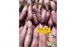 【ふるさと納税】【予約受付2024年10月中旬発送予定】野菜ソムリエ齋藤セレクト「新」秋セット　　サツマイモ 芋 野菜 セット 予約 シル