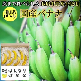 【ふるさと納税】【訳あり】国産バナナ 1kg 皮まで食べられる 『京都はんなりばなな』《栽培期間中農薬不使用 京都初 亀岡産 希少 規格外