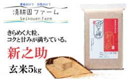 【ふるさと納税】【令和6年産新米予約】新之助【玄米】5kg 新潟県 糸地川市産 清耕園ファーム 農家直送 新潟の新しいブランド米 【米 し