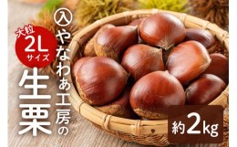 【ふるさと納税】【先行受付】入 やなわぁ工房の生栗 2L 約2kg