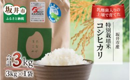 【ふるさと納税】【先行予約】【令和6年産・新米】乳酸菌入りの土壌で育てた 福井県 坂井町産 特別栽培米コシヒカリ 3kg（白米）【2024年