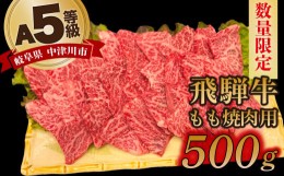 【ふるさと納税】【数量限定！チルド（冷蔵）発送！】「飛騨牛」A5等級もも 500g 鉄板焼き 網焼き 焼肉 バーベキュー BBQ