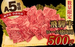 【ふるさと納税】【数量限定！チルド（冷蔵）発送！】「飛騨牛」A5等級 ロース 500g 鉄板焼き 網焼き 焼肉 バーベキュー BBQ