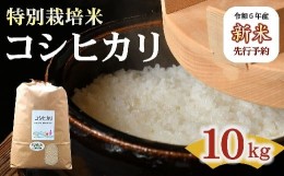 【ふるさと納税】コシヒカリ（特別栽培米）10kg（新米予約9月以降発送）【1-9】