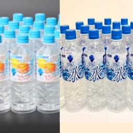 【ふるさと納税】熱中症対策セットＢ550ｍｌ×48本セット