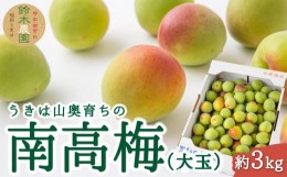 鈴木 農園の通販｜au PAY マーケット