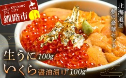 【ふるさと納税】塩水うに (生ウニ) 100g いくら 昆布醤油漬け 100g F4F-1572