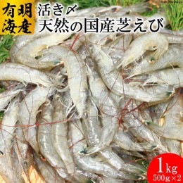 【ふるさと納税】BD190 有明海産 活き〆 天然小エビ 1kg（500ｇ×2パック）