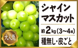 【ふるさと納税】＜2024年先行予約＞笛吹市産 シャインマスカッ ト3-4房 約2.0kg 097-004