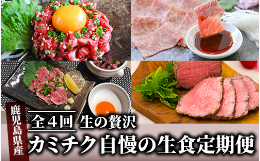 【ふるさと納税】【全４回】生の贅沢〜 カミチク 自慢 の 生食 定期便 〜(カミチク/Z-085)  黒毛 和牛 上村牛 ユッケ 牛刺し タタキ ロー