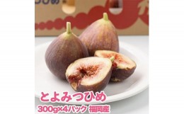 【ふるさと納税】福岡限定!ブランドいちじく「とよみつひめ」約300g×4パック(大野城市)【1083967】