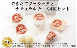 【ふるさと納税】【朝どれミルク使用】できたてブッラータとナチュラルチーズ4種セット（国産 ナチュラルチーズ 乳製品 チーズ コンテス