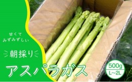 【ふるさと納税】アスパラガス 小郡産 朝採りアスパラガス 500g (L、2Lサイズ混) 野菜 永利農園