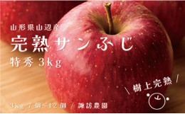 【ふるさと納税】《先行予約》2024年 山形県産 完熟 サンふじ りんご 特秀品 3kg 7〜12個 2024年12月上旬から順次発送 リンゴ フルーツ F