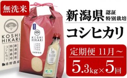 【ふるさと納税】新米先行予約【定期便・11月〜発送】コシヒカリ 無洗米 5.3kg×5回 （計 26.5kg）重ちゃんが愛情込めて作ったお米 令和6