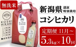 【ふるさと納税】新米先行予約【定期便・11月〜発送】コシヒカリ 無洗米 5.3kg×10回 （計 53kg）重ちゃんが愛情込めて作ったお米 令和6