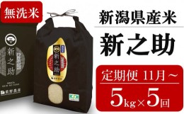 【ふるさと納税】新米先行予約【定期便・11月〜発送】新之助 無洗米 5kg×5回 （計 25kg）重ちゃんが愛情込めて作ったお米 令和6年産[ZH6