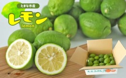 【ふるさと納税】玉名市産 レモン 2kg 【 熊本玉名・みかん専門店より 】 | フルーツ 果物 くだもの 柑橘 れもん 玉名 たまな 熊本県 玉