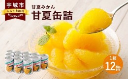 【ふるさと納税】甘夏みかん 甘夏缶詰 12缶 固形量160g みかん缶 