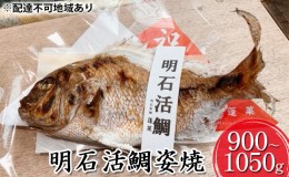 【ふるさと納税】明石活鯛姿焼 900〜1050g[ 明石鯛 鯛 焼鯛 祝い鯛 お祝い ]