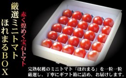 【ふるさと納税】【中富良野町】厳選ミニトマトほれまるBOX