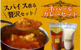 【ふるさと納税】ティハールのネパールカレーセット ２人分　【 カレー ネパールカレー カレールー カレーセット 手作り ヴィーガン アレ