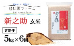 【ふるさと納税】令和6年産新米予約【定期便】新之助【玄米】5kg×6回 計30？ 清耕園ファーム 農家直送 新潟の新しいブランド米（毎月お