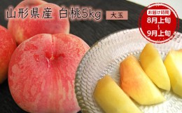 【ふるさと納税】《先行予約 2024年度発送》【山形県産】白桃5kg(大玉13〜20玉) FSY-0387