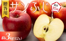 【ふるさと納税】【贈答用】りんご 長野 サンふじ 約3kg （12玉）　[?5675-1262]