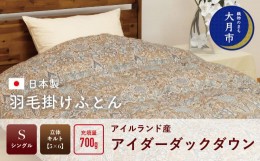 【ふるさと納税】羽毛布団【シングル】アイルランド産アイダーダックダウン700g　高級生地使用 【S-38】