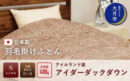 【ふるさと納税】羽毛布団【シングル】アイルランド産アイダーダックダウン400g　高級生地使用 【S-39】