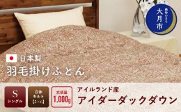 【ふるさと納税】羽毛布団【シングル】アイルランド産アイダーダックダウン1000g　高級生地使用 【S-40】