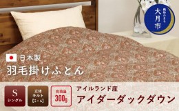 【ふるさと納税】羽毛布団【シングル】アイルランド産アイダーダックダウン300g　高級生地使用 【S-45】