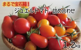 【ふるさと納税】ジュエルトマト詰め合わせ【高糖度 フルーツトマト トマト 甘い 完熟 栄養 早期予約】