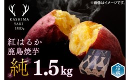 【ふるさと納税】鹿島焼芋　純　1.5kg（KBK-8）