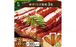 【ふるさと納税】AD-84　やわらか新仔うなぎ蒲焼120〜140ｇ　3尾　計360ｇ以上