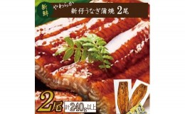 【ふるさと納税】AD-85　やわらか新仔うなぎ蒲焼120〜140ｇ　2尾　計240ｇ以上