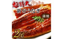 【ふるさと納税】AD-95　やわらか新仔うなぎ超特大蒲焼230〜250ｇ　2尾　計460ｇ以上