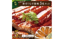 【ふるさと納税】AD-103　やわらか新仔うなぎ食べ切りサイズ100〜120g　5尾　計500ｇ以上