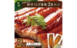 【ふるさと納税】AD-106　やわらか新仔うなぎ食べ切りサイズ100〜120g　2尾　計200ｇ以上