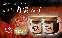 【ふるさと納税】自家製南蛮みそ(100g × 2本)