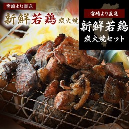 【ふるさと納税】鶏炭火焼きセット(真空パック)【E3】