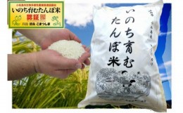 【ふるさと納税】希少でおいしい！いのち育むたんぼ米10ｋｇ【KS-02】